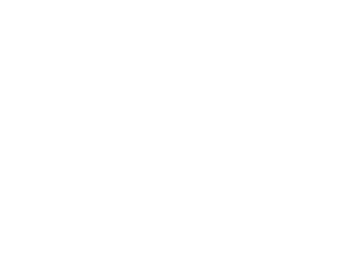 Alternate Text